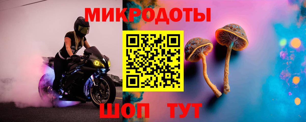 Галлюциногенные грибы Cubensis  Вход с VPN  Долгопрудный 